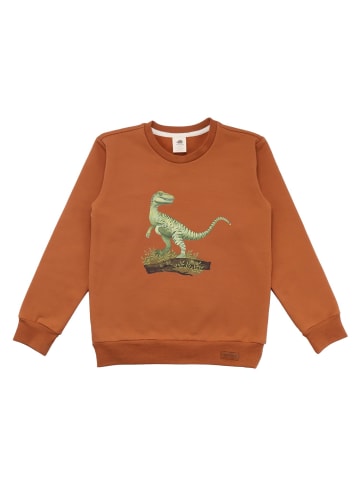 Walkiddy Sweatshirt Dinosaur Jungle - Baumwolle (Bio)