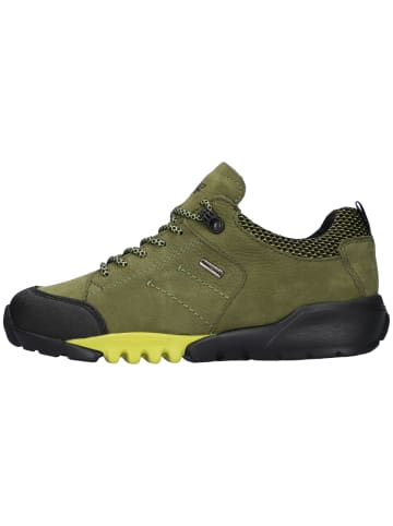 WALDLÄUFER Sneaker in oliv