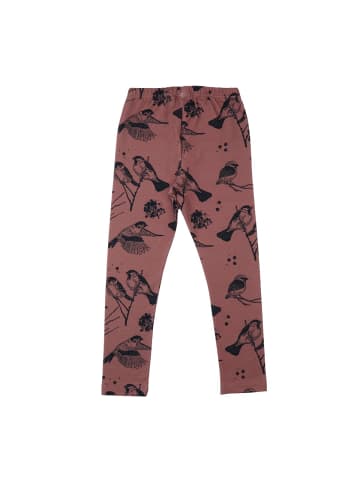 Walkiddy Leggings Leggings aus Baumwolle (Bio)