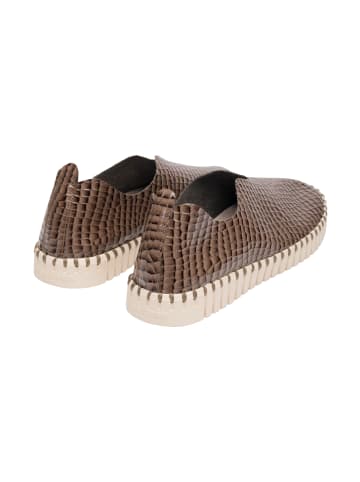 Ilse Jacobsen Slipper TULIP3031 in Mud