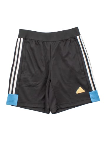 adidas Shorts NTPK House of Tiro Nations Pack in Schwarz