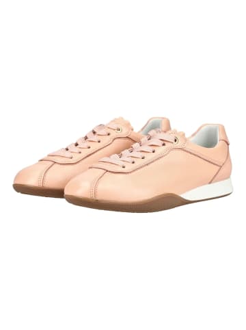 ara Sneaker in Rosa