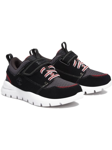 Timberland Kinder Sneaker "Boroughs Project" in Schwarz