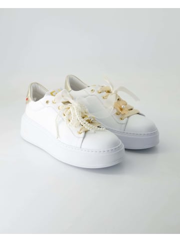 GIO+ Klassische Schnürschuhe in Weiß