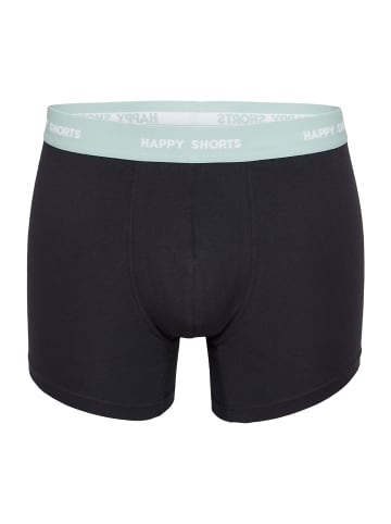 Happy Shorts Retro Pants Trunks in Dusty Mint Blockstripe