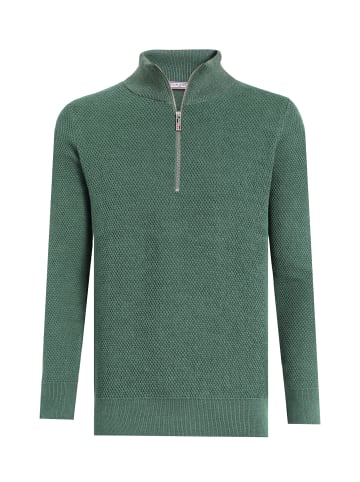 Felix Hardy Pullover in Grün