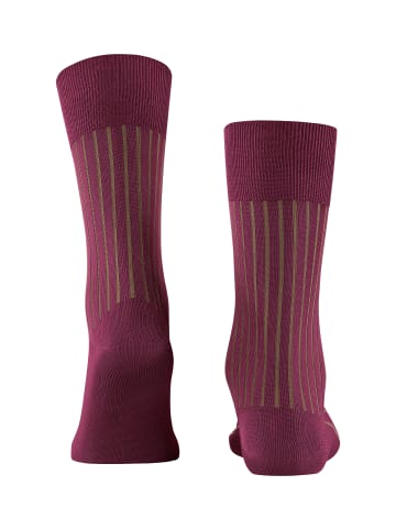 Falke Socken Shadow in Red plum