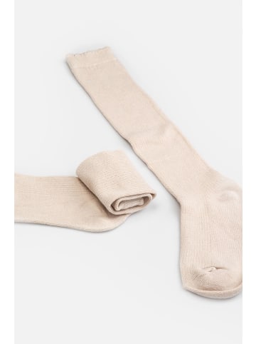 Coccodrillo Socken in beige