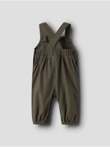 name it Overall in Sea Turtle