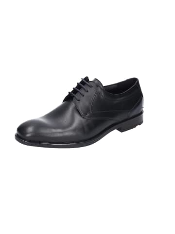 LLOYD Schnürschuhe Elegant in schwarz