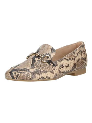Paul Green Slipper in Beige