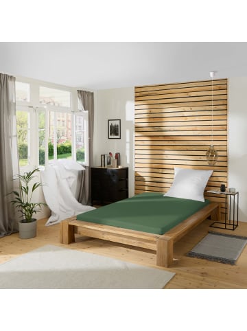 REDBEST Single-Jersey Spannbettlaken Pittsburgh in oliv