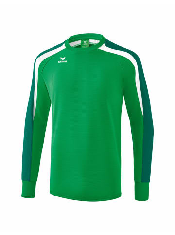 erima Langarmshirt für Herren in grün