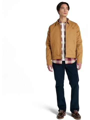 Timberland Jacke "Hollis" in Beige