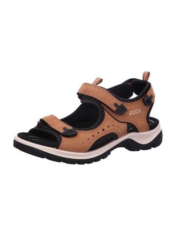 Ecco Trekkingsandalen in Braun