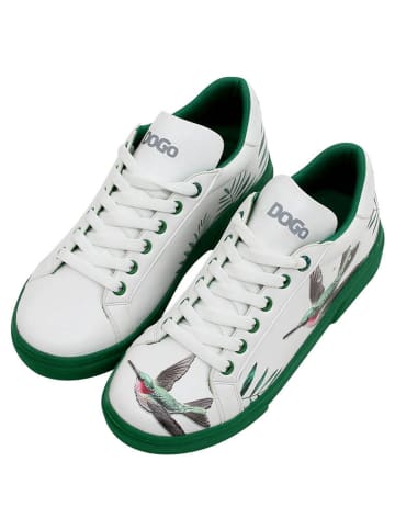 Dogo Ace Sneakers - Soar the Sky 40 in Grün