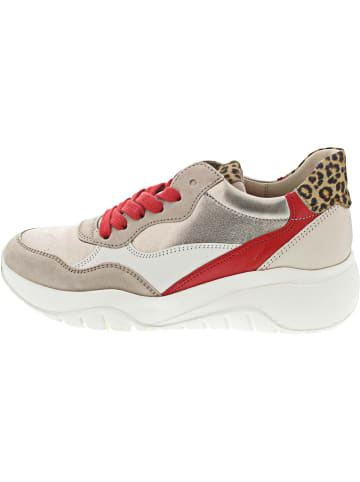 Gabor Sneaker Beige