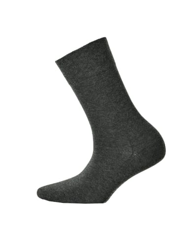 Hudson Socken 2er Pack in Grau