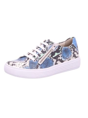 Solidus Sneaker Low in blau