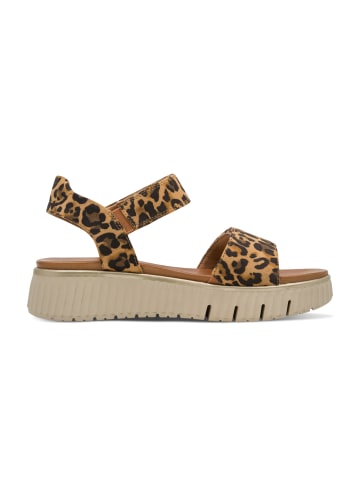 Tamaris Sneakers Low 8-88720-44 in bunt