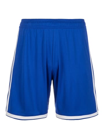 adidas Performance Funktionsshorts Regista 18 in blau / weiß