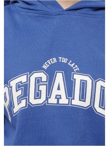 PEGADOR PEGADOR Wayruna Oversized Hoodie in blue