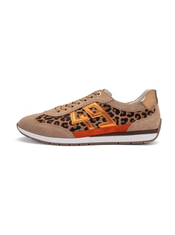 ara Sneaker Low in Beige