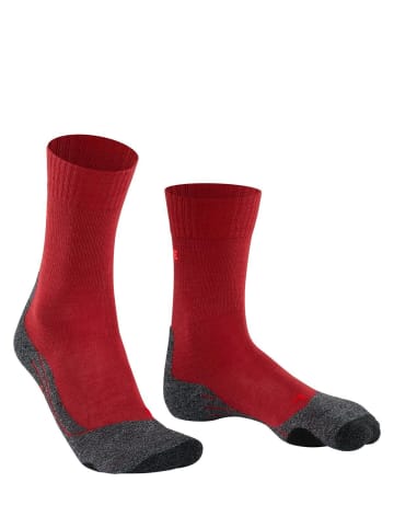 Falke Socken 1er Pack in Rot