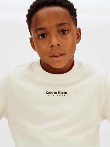 Calvin Klein Sweatshirt 10332526215510