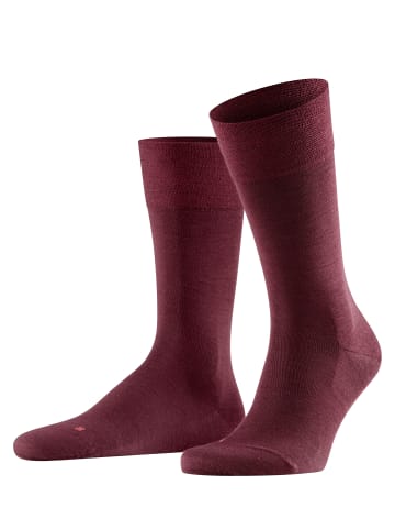 Falke Socken Sensitive Berlin in Barolo