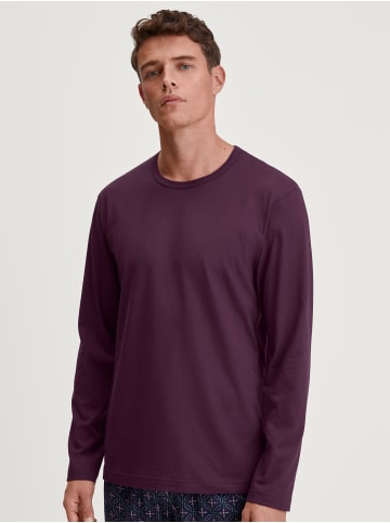 Calida Shirt in barbera