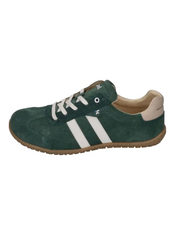 KOEL Sneaker Low ILO SUEDE in grün