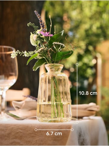 Praknu Kleine Glasvasen für Tischdeko - 6er Set - Vintage Charme - Runde