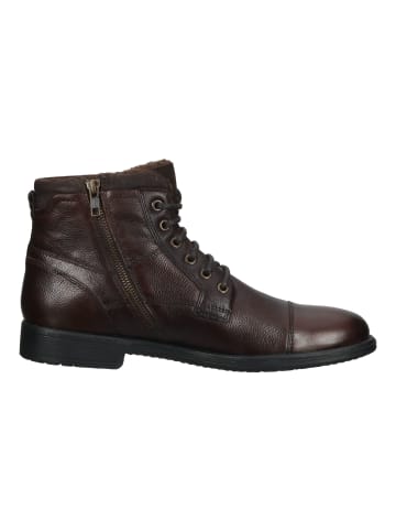 Geox Stiefelette in Dunkelbraun