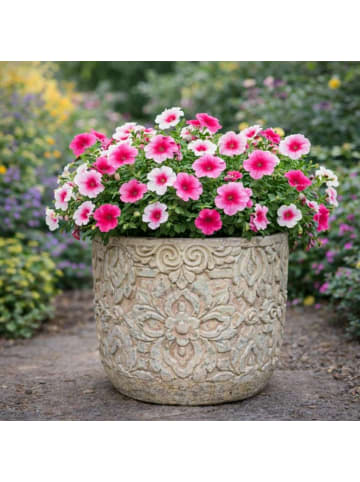 AltoBelli Blumentopf FIORENZA Antik Grau Patina Zement 17x16 cm