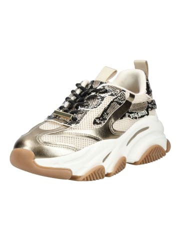 Steve Madden Sneaker in Bronze
