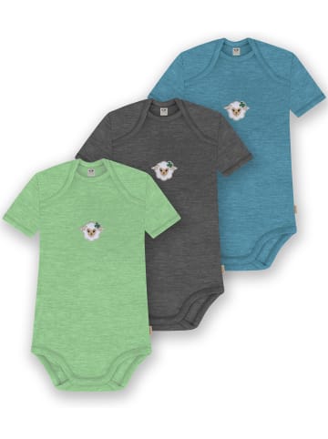 Normani Outdoor Sports 3er Set Baby Merino Body Kurzarm Tauranga in Blau/Anthrazit/Grün