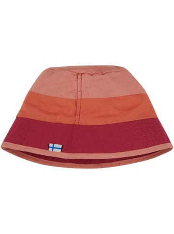 finkid LASSE in Terra