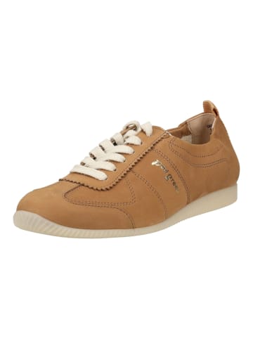 Paul Green Sneaker in Braun
