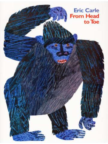 HarperCollins Buch - From Head to Toe