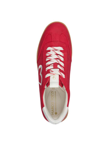 Marco Tozzi BY GUIDO MARIA KRETSCHMER Sneaker in CHERRY