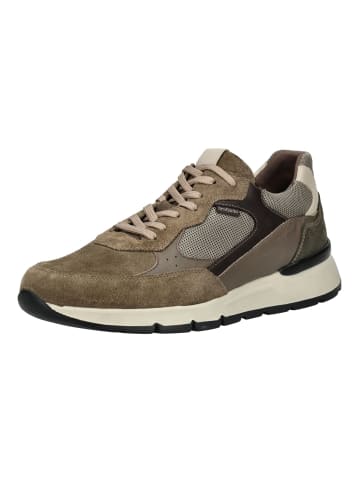 Nero Giardini Sneaker in Fango