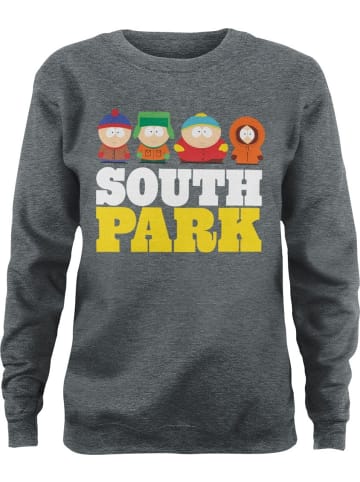 South Park Pullover in Grau
