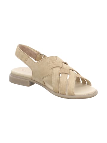 Think! Riemchensandale KAMAA in Iced Coffee