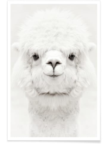 Juniqe Poster "Smiling Alpaca" in Weiß