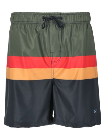 Cruz Badeshorts Indy in Print 8631