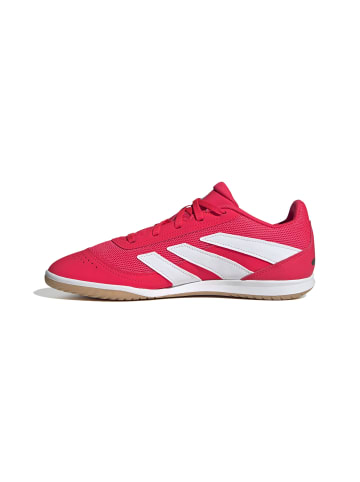 adidas Schnürschuhe in lucred/ftwwht/cblack
