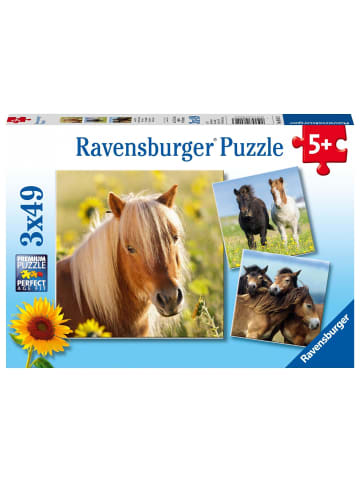 Ravensburger Liebe Pferde. Puzzle 3 x 49 Teile