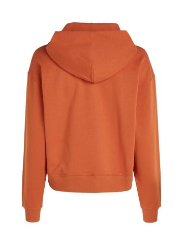 CALVIN KLEIN JEANS Sweatshirt in burnt clay