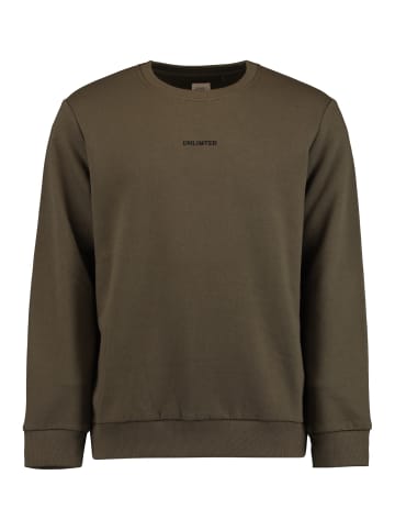 Hailys UNLIMITED Sweatshirt Langarm Sweater Pullover TONY in Dunkelbraun